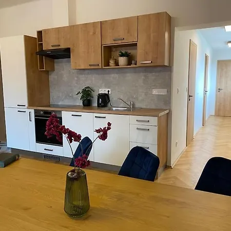 Apartment C.5 V Bankovnim Dome *